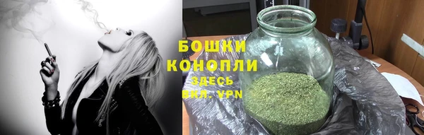 амф Инта