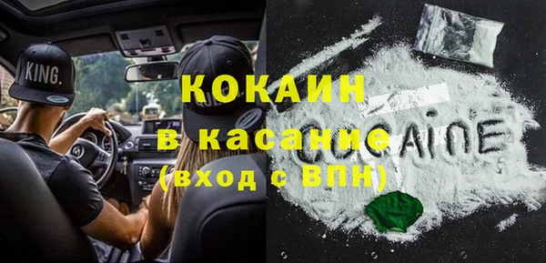 мет Инсар