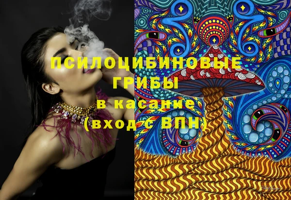 мет Инсар