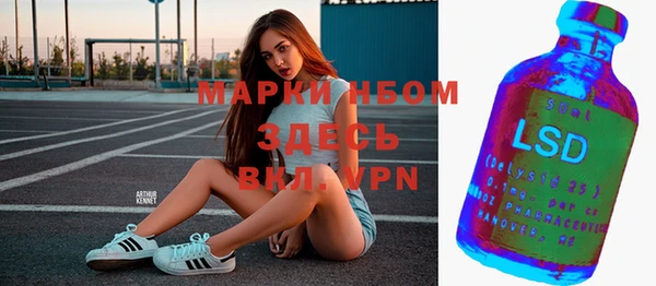 амф Инта