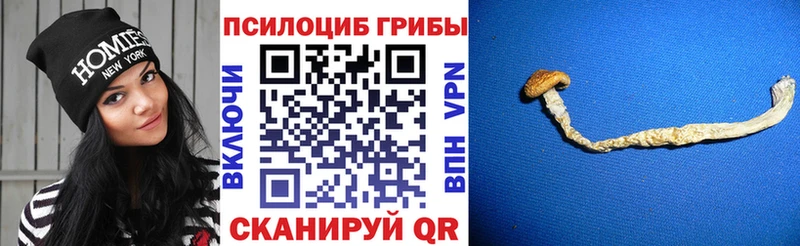 Галлюциногенные грибы Magic Shrooms  Купить  Горбатов 